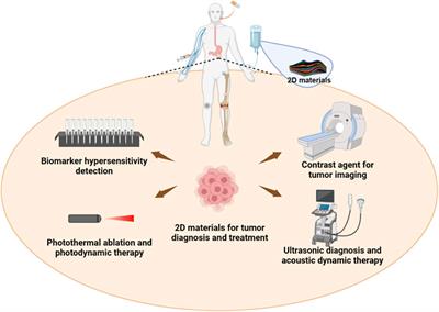 Advances in the two-dimensional layer materials for cancer diagnosis and treatment: unique advantages beyond the microsphere